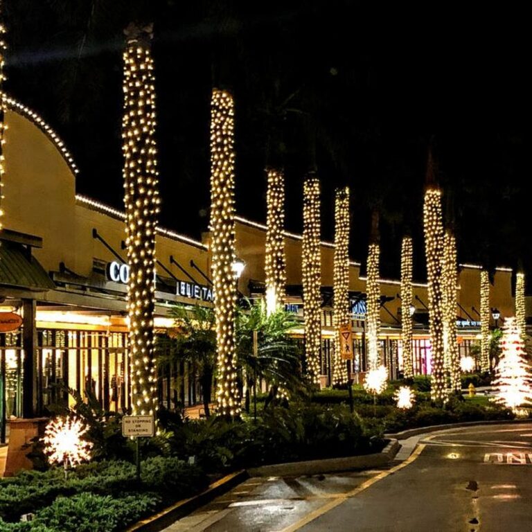 Professional Commercial Christmas Lighting Installation Service