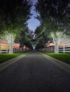 Enchanting Driveway Holiday Lighting Installation Edmond OK